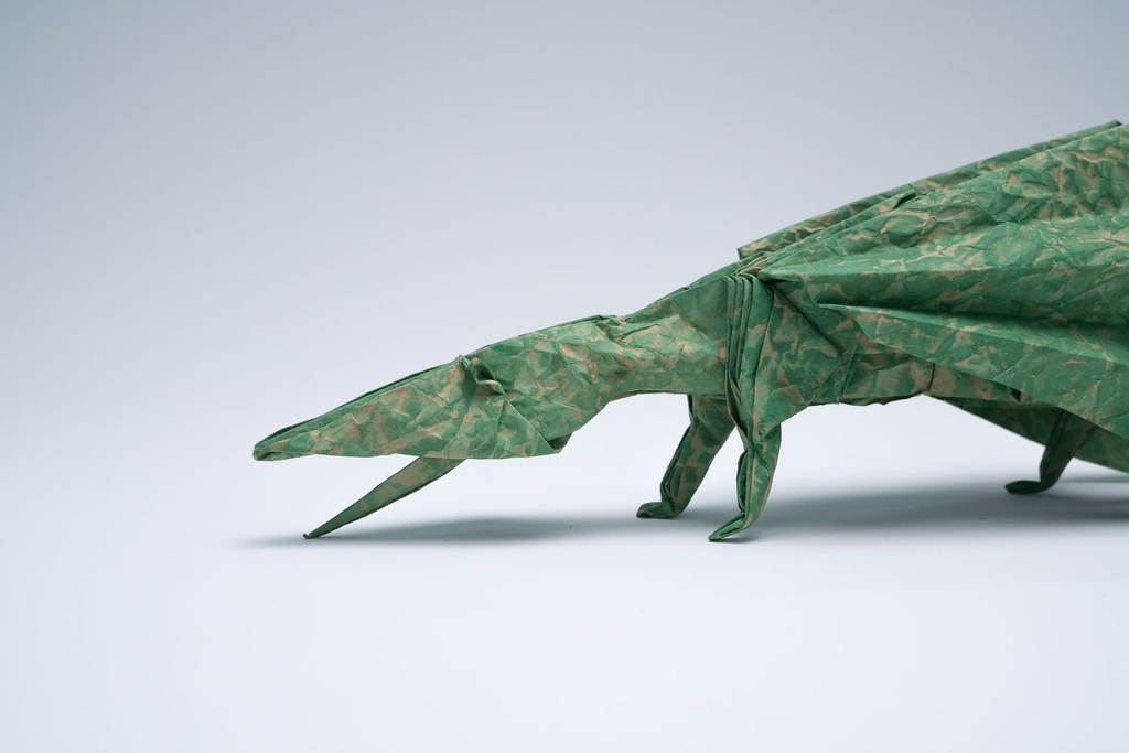 PlicoOrigami_2048-039.webp