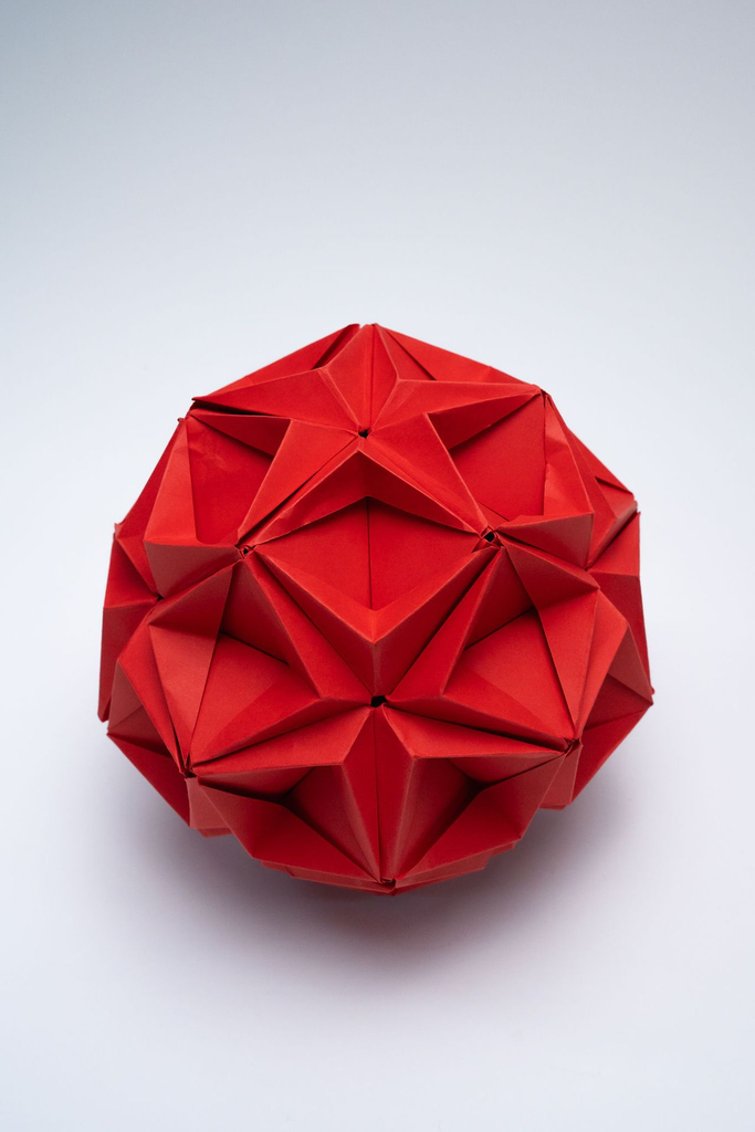 PlicoOrigami_2048-179.webp