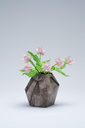 PlicoOrigami_2048-052.webp