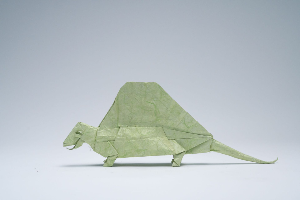 PlicoOrigami_2048-091.webp