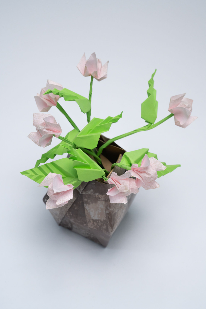 Pink Flowers with Vase