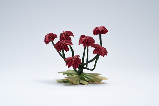 Red Flowers