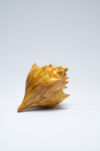 Wooden Seashell Box