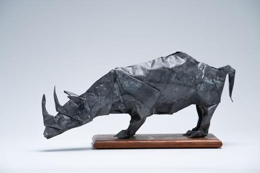 Rhinoceros